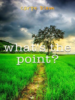 cover image of What's the Point?